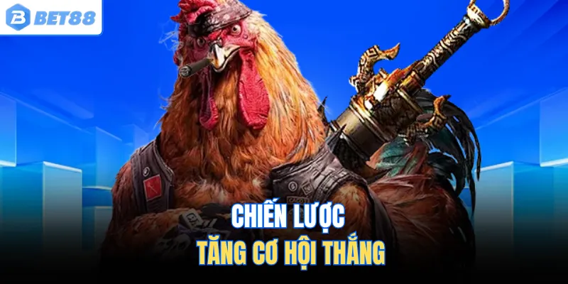 Chiến lược tăng cơ hội thắng