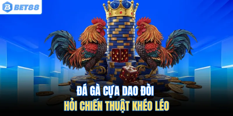 Đá gà cựa dao đòi hỏi chiến thuật khéo léo