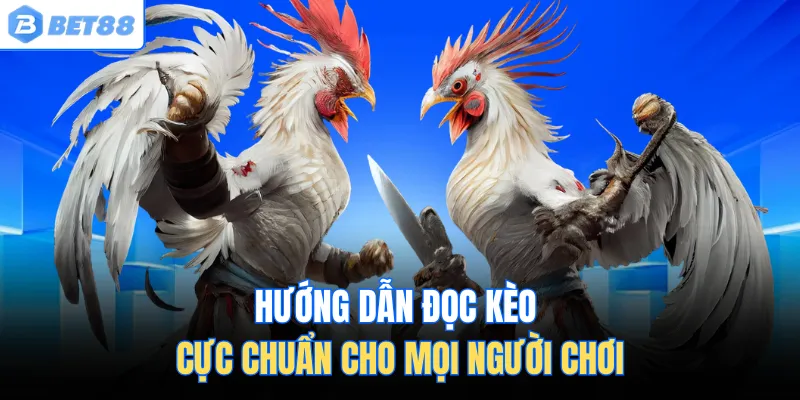 Hướng dẫn đọc kèo cực chuẩn cho mọi người chơi