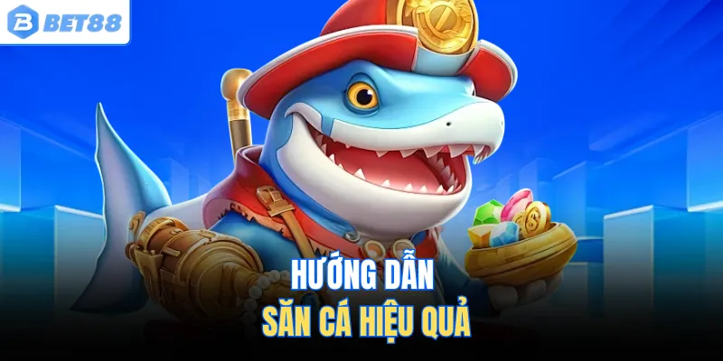 Hướng dẫn săn cá hiệu quả